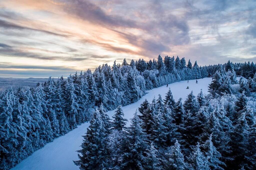 Mountain Lodge Getaway, Ski-In/Ski-Out, Heart Of The Village Сноушу Экстерьер фото